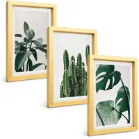 Tulup BILDER SET 3er Set - 20x30 cm Goldrahmen - Tropische ästhetische Pflanzen