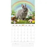 Plenty Gifts Kaninchen Studio Kalender 2027