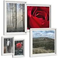 Tulup BILDER SET 5er Set - 50x50 cm & 20x30 cm & 40x60 cm Weißer Rahmen - Rote Rosen auf pferdegrauem Hintergrund