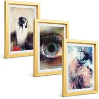 Tulup BILDER SET 3er Set - 20x30 cm Goldrahmen - Porträt einer Frau mit abstrakten Emotionen