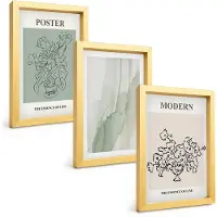 Tulup BILDER SET 3er Set - 20x30 cm Goldrahmen - Blumen in einer modernen Vase