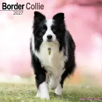 Avonside Publishing Ltd. Border Collie Kalender 2027