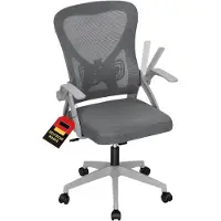 Woltu Bürostuhl ergonomisch, 360° drehbar und höhenverstellbar, Schreibtischstuhl mit Lendenwirbelst : Grau Farbe: Grau