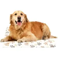 Markenlos Wärmendes Katzenbett mit Kratzspuren | Haustiermatte für Katzen, Hunde, Kätzchen und Welpen im Innenbereich, im Haus, Schlafzimmer oder Wohnzimmer im Winter