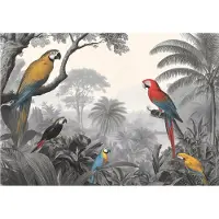 WALLARENA Fototapete Papageien in Grau | Gr.: 250 x 175 cm