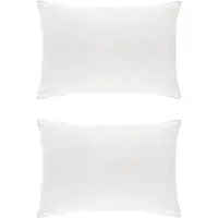 vidaXL Kopfkissen FULDA 2 stk. 60 x 80 cm 100% Gänsedaunen und -federn