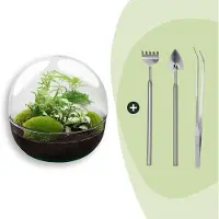 Urbanjngl Flaschengarten - Dome XL - Höhe 30 cm - Harke + Schaufel + Pinzette