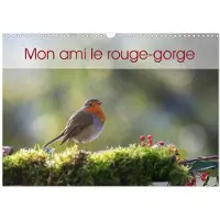 CALVENDO Mon ami le rouge-gorge (Calendrier mural 2027 DIN A3 vertical), calendrier mensuel