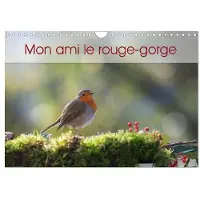 CALVENDO Mon ami le rouge-gorge (Calendrier mural 2027 DIN A4 vertical), calendrier mensuel
