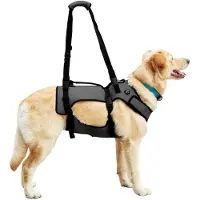 Markenlos Hundegeschirr, Ganzkörperstütze und Erholungsweste, verstellbar und atmungsaktiv, für ältere, behinderte, gelenkverletzte, arthritische und gelähmte Hunde (Schwarz, XL)