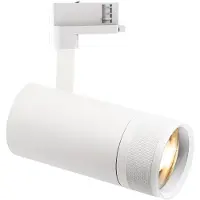 Ideal Lux 341101 FILO Pendelleuchte D600mm LED 19W 1750/1520lm 2700K Messing