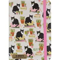 Peter Pauper Press Wochenplaner "Smarty Cats" (16 Monate, September 2026 bis Dezember 2027)