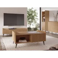 WFL GROUP Couchtisch 120x60 cm – Rechteckiger Wohnzimmertisch mit Stauraum – Sofatisch mit hohen Metallfüßen im Loft-Stil – Minimalistischer Kaffeetisch in Frühlings-Eiche Hellbraun – ARYSA