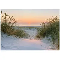 WALLARENA Fototapete Strand in Beige | Gr.: 250 x 175 cm