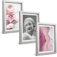 Tulup BILDER SET 3er Set - 20x30 cm Silberner Rahmen - Pfingstrosen abstrakte Frauenskulptur