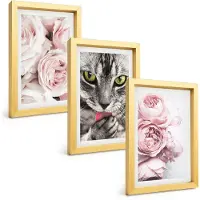 Tulup BILDER SET 3er Set - 20x30 cm Goldrahmen - Katze in rosa Blumen