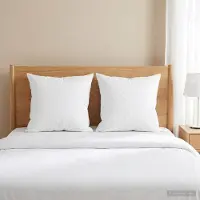 vidaXL Kopfkissen FULDA 2 stk. 60 x 60 cm 100% Gänsedaunen und -federn