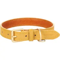 Flamingo Virginia Hundehalsband