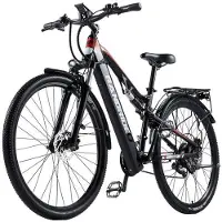 RANDRIDE E-Bike - - YG90B - Motor 1000W - Batterie 48V 17Ah - Räder 29"