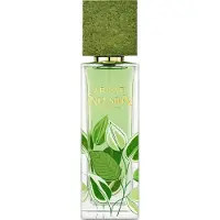 Armaf Infusion Eau De Parfum 80 ml (unisex)