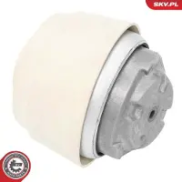 ESEN SKV Lagerung, Motor 75SKV001