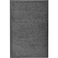 Décoshop26 - Waschbare Fußmatte anthrazit 60x90 cm DEC023179 DEC023179