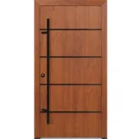 FM Türen AS68 Modell 22 1100 x2100 Goldene Eiche Links Innen Beschläge Set 01