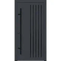 FM Türen AS68 Modell 64 1100 x2100 Anthrazit Links Innen Beschläge Set 01