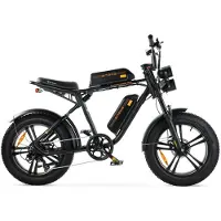 ENGWE M20 - Doppelakku - E-Fatbike inkl. Kettenschloss - 20 Zoll - 250W Motor - 150 km Reichweite - 7-Gang - Scheibenbremsen - 1248Wh Akku - Federgabel - Schwarz