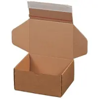 Ropipack Modulboxen mit Haftklebung und Aufreißfaden 305x210x91mm