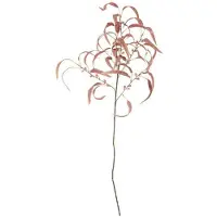 Bloomingville Eucalyptus
