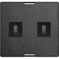 Evoline Wechselmodul USB Charger 2 x USB Typ C schwarz inkl. Netzteil