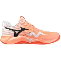 Mizuno Hallenschuhe Wave Momentum Pro