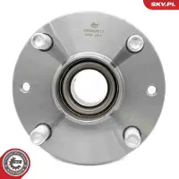 ESEN SKV Radlagersatz 29SKV617
