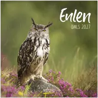 Korsch Verlag Eulen Kalender 2027