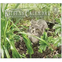Legacy Kätzchen Kalender 2027