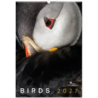 Bekking & Blitz Vogel­schutz Monatskalender 2027