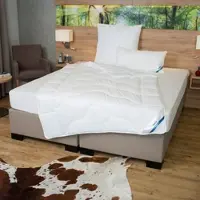 Beco Kopfkissen Royal Soft Testsieger 40 x 80 cm