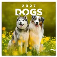 Presco Hundekalender 2027