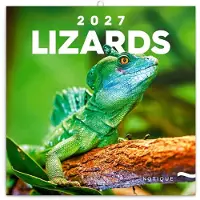 Presco Eidechsen Kalender 2027