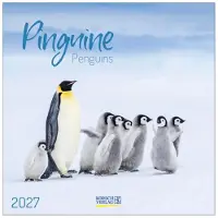Korsch Verlag Pinguine Kalender 2027