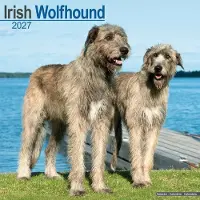 Avonside Publishing Ltd. Irischer Wolfshund Kalender 2027