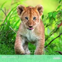 Aquarupella Babytiere Kalender 2027