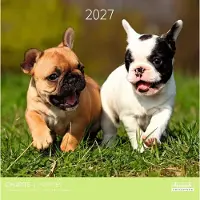 Aquarupella Welpenkalender 2027