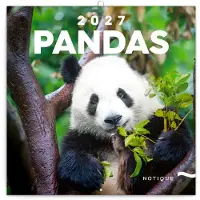 Presco Panda Kalender 2027