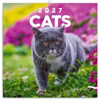 Presco Katzen Kalender 2027