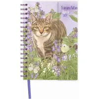 Comello Franciens Katzen Spiralagenda 2027 Suus