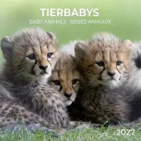 Tushita Baby Animals Kalender 2027
