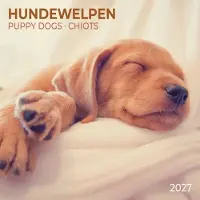 Tushita Welpen Kalender 2027