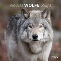 Tushita Wölfe Kalender 2027